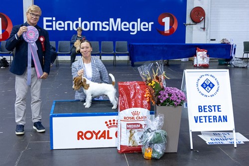 Dagens beste veteran søndag.jpg